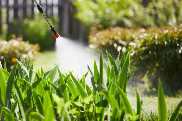 24/7 Emergency Mosquito Control experts in Goodland, IN